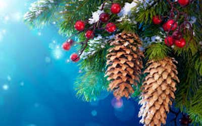 New Year Congratulation of the Rector of FEIT Ashurboy Solehzoda New Year Congratulation of the Rector of FEIT Ashurboy Solehzoda