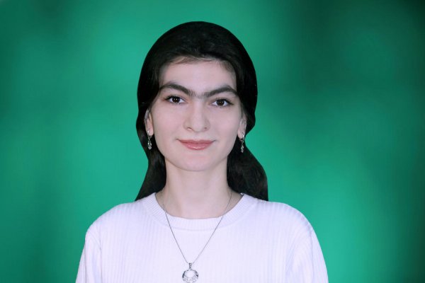 Амиршозода Дилноза