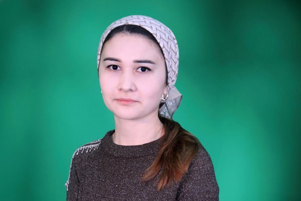 РУКНИ ДАВЛАТДОРӢ ВА ҲАСТИИ МИЛЛӢ